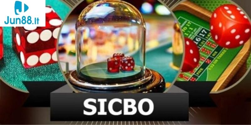 Sicbo là gì? Mẹo cược Tài Xỉu chuẩn và hiệu quả cho bet thủ